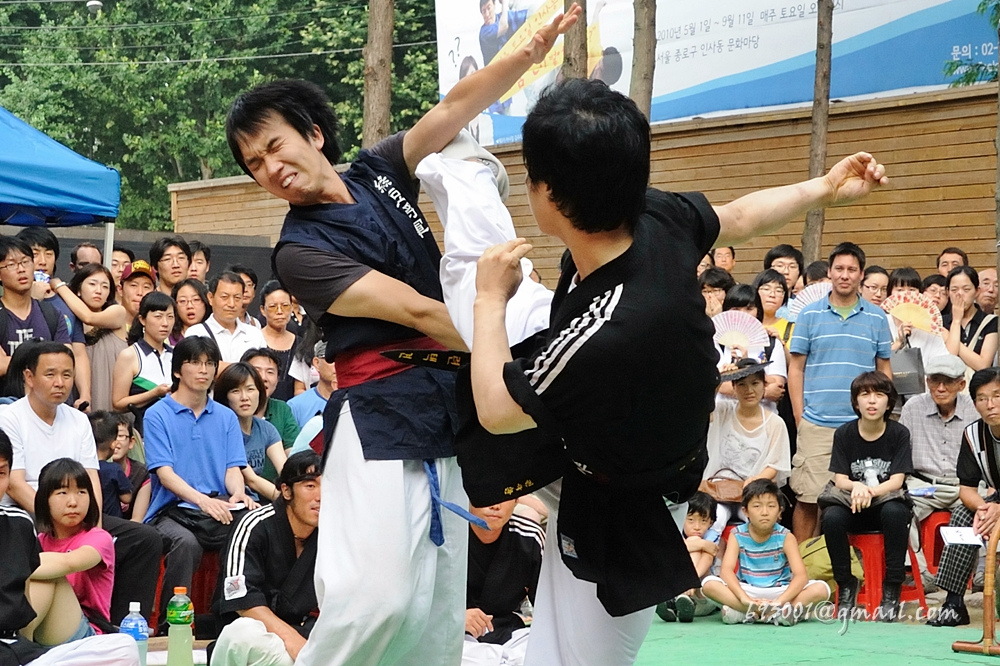 taekyon the korean martial art