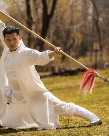 Traditional Chinese Martial Arts