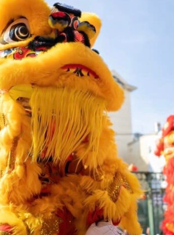 Lion and Dragon Dance Training
