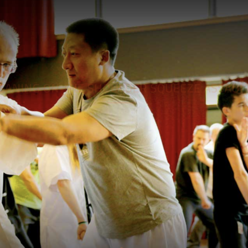 Baiji Quan international Training Center