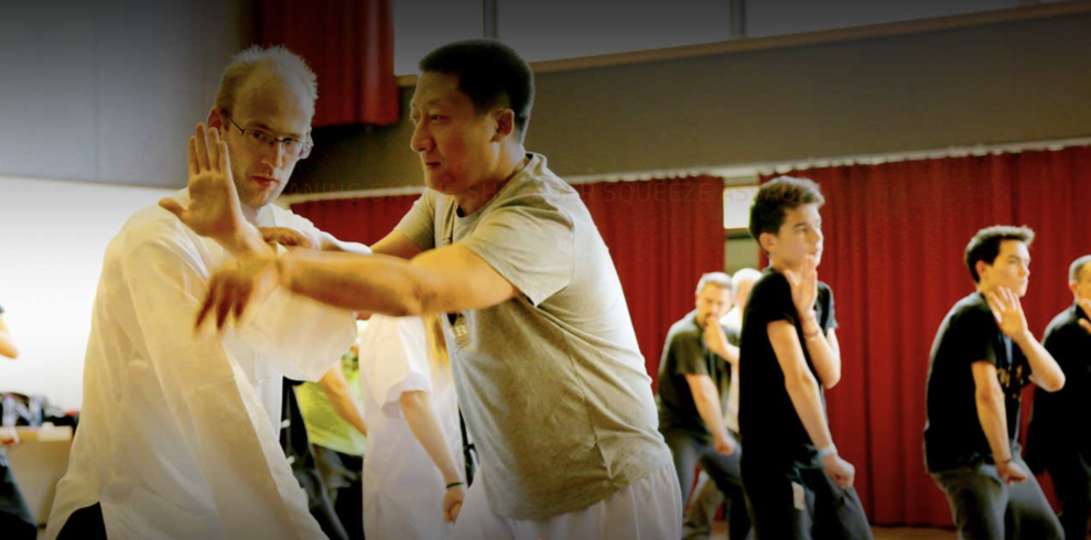 Baiji Quan international Training Center