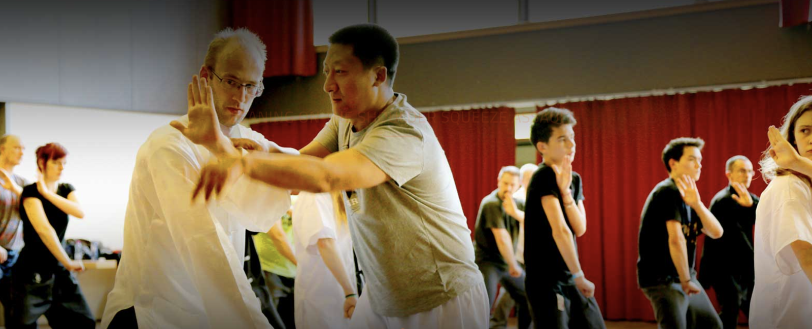 Baiji Quan international Training Center
