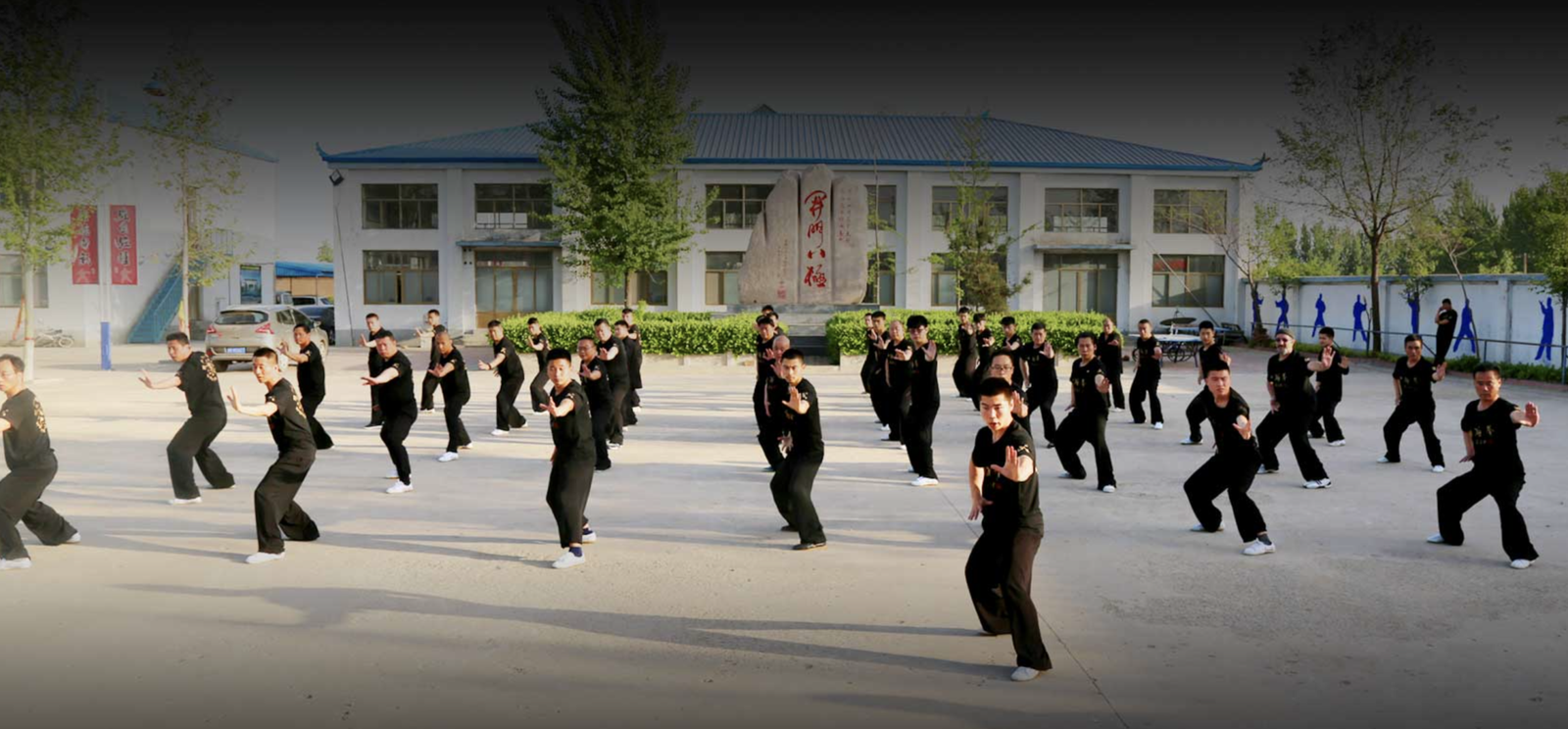Learn Baji quan in China