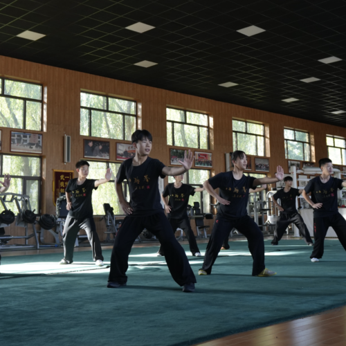 training at the bajiquan international training base